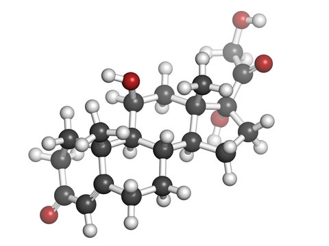 Cortisol (hydrocortisone) stress hormone, molecular model