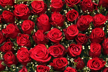 Obraz premium Red roses and small white berries