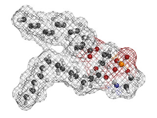 Phosphatidylethanolamine (PE) cell membrane building block, mole
