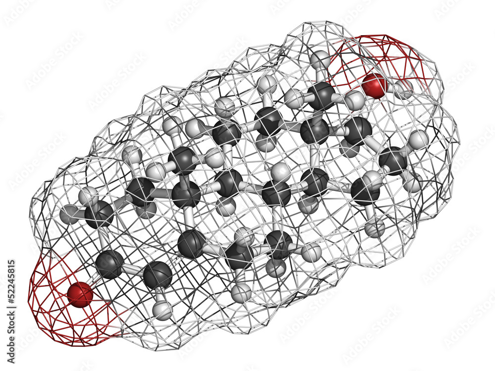 Sticker Testosterone male sex hormone, molecular modelTestosterone male