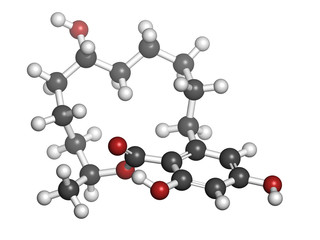 Zeranol (a-zearalanol) mycotoxin, molecular model
