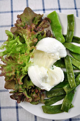 Salat mit B&uuml;ffel Mozzarella