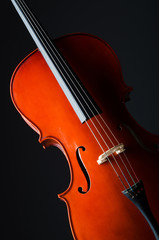 Violin on the black background