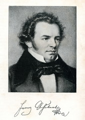 Portrait of austrian composer Schubert - obrazy, fototapety, plakaty