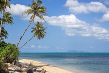 Beautiful wild tropical  beach