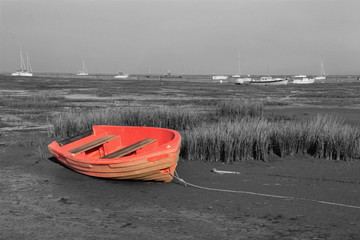 Paysage de bord de mer.