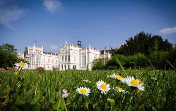 Castle park with flowers