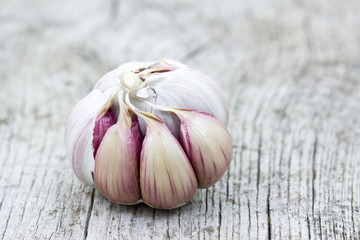 fresh garlic