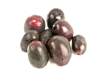 Jambul or Jamun (Syzygium cumini)