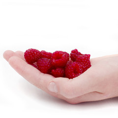 Raspberries in the hands