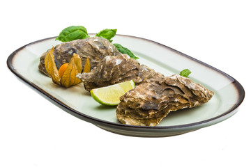 Fresh oyster