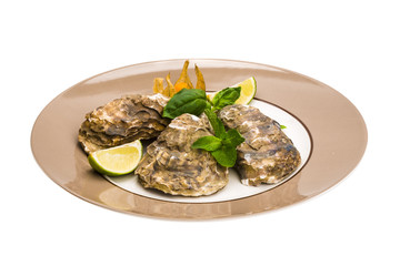 Fresh oyster
