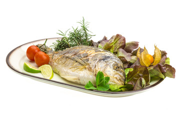 Dorado grilled