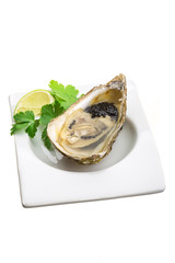 Oysters with black cavair