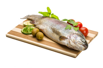Fresh raw rainbow trout