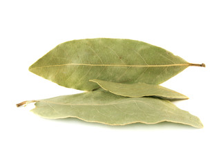 Fototapeta premium Bay leaves isolated on white background