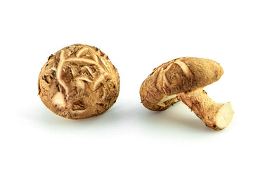 Mushroom on white background