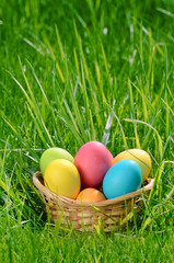 Easter eggs in the basket on the green grass