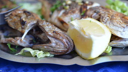 poisson