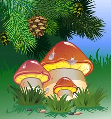 Wall murals Magic World Mushroom