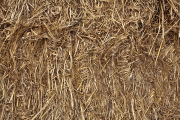 Bale of Hay Background