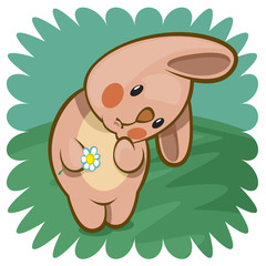 bashful bunny with flower