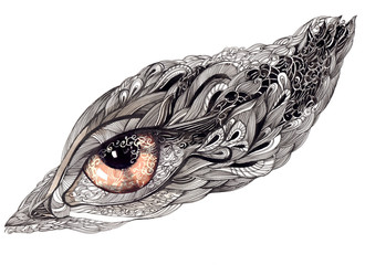 ornate human eye