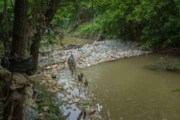 Bottles and trash in the river