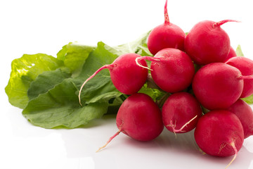 Radish.
