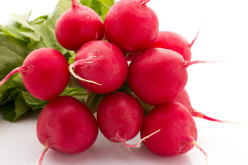 Radish.