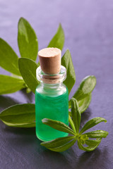 woodruff herb  natural aroma  essence