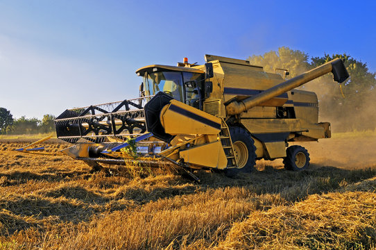 Combine harverster