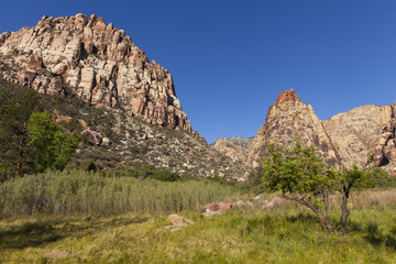 Colorful mountains and a grass meadow in spring time.
