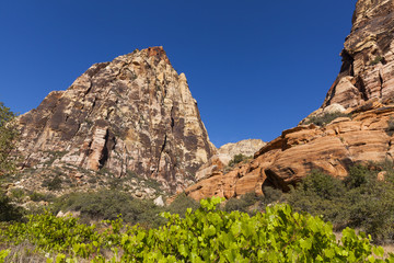 Fototapeta premium Jagged mountains jut out of the desert near Las Vegas.