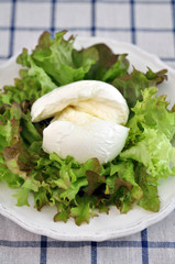 Salat mit Büffel Mozzarella