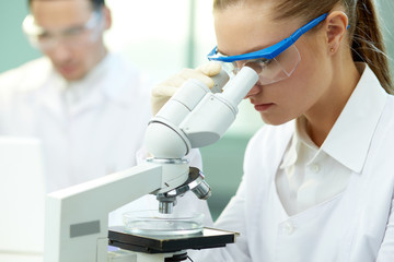 Clinical experiment