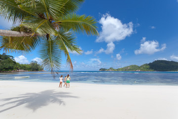 plage des Seychelles sous les cocotiers