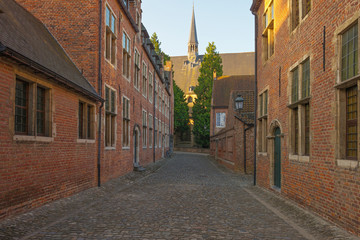 Fototapeta na wymiar Street through the Grand Beguinage of Leuven