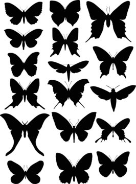 set of seventeen butterfly wings shapes