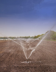 irrigation