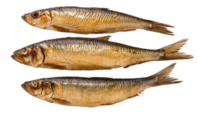 brown smoked trunk fish on white background