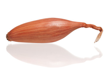 Onion shallot