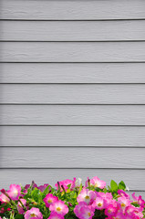 Wooden wall and flower. texture