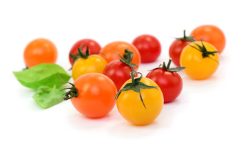 Basilikum, Tomaten