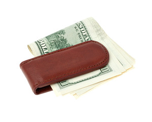 Money clip with dollar bills