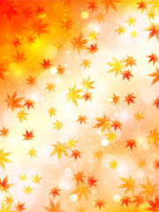 もみじ　紅葉　秋