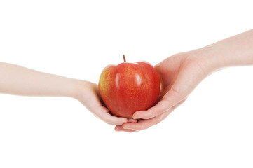 red apple in child and mommy hands