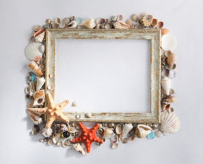 Shabby picture frame with blank space inside and shells, on whit