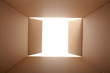 Cardboard box, inside view