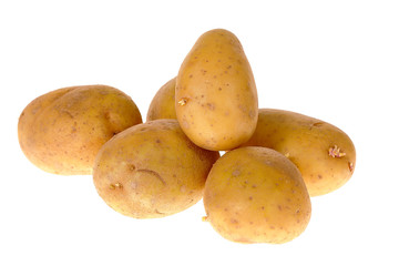 Potato
